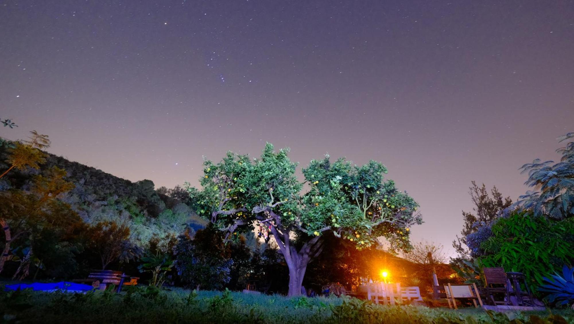 Vuelve Al Origen - Nomadas Digitales Tegueste Extérieur photo